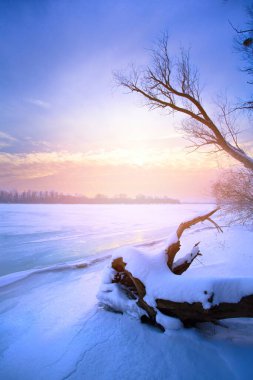 Winter landscape: frozen river at sunset. Panoramic photo with golden reflection of light on the ice surface. for design of winter postcards, calendars and tourist projects clipart