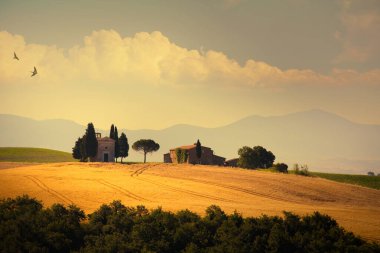 Gün batımında sıcak ışık ve yumuşak tepelerle altın tarlalar. Kırsal şapel ve selvi ağaçları barışçıl bir İtalyan kırsal kesimi oluşturur. Sonbahar estetiği, seyahat, yavaş yaşam ve kırsal kaçış temaları için mükemmel..
