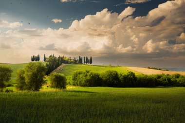 Toskana turizmi, selvi ağaçları, saman balyaları ve dramatik bulutlar altında manzaralı yaz tarlaları. Yaz sonu seyahati, kırsal cazibe ve ekolojik yaşam tarzı görselleri için mükemmel..