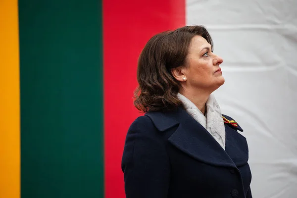 Vilna Lituania Febrero 2023 Diana Nausediene Primera Dama Lituania Durante — Foto de Stock