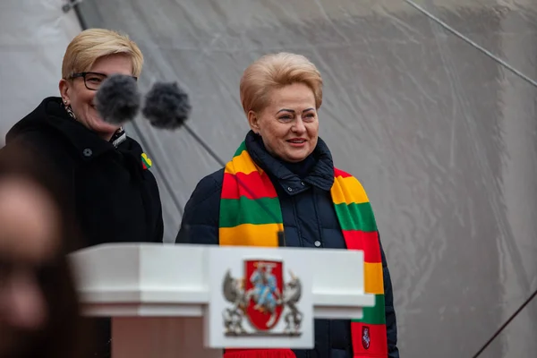Vilnius Litva Února 2023 Premiér Ingrida Simonyte Bývalá Prezidentka Dalia — Stock fotografie