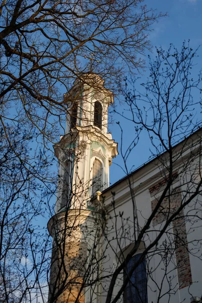 リトアニアのヴィリニュスにある春の木の後ろにあるギリシャのカトリック教会の塔 — ストック写真