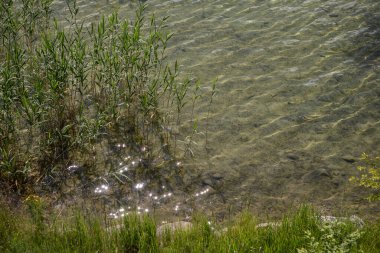 Trakai, Galve Gölü kıyısında güneş ışığı oyunu