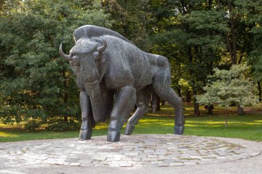 Kaunas, Litvanya - 18 Ağustos 2024: Kaunas Azuolynas parkında Buffalo heykeli. Heykeltıraş Daliute Ona Matulaite, 1979. 