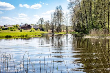 Litvanya 'nın Svencioneliai bölgesinde, Zeimena vadisinde sel basmış çayır manzarası