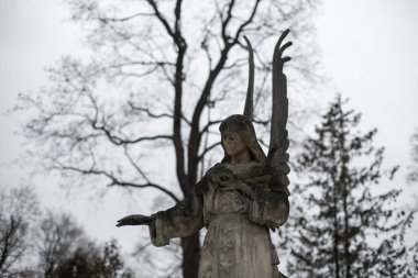 Vilnius, Litvanya - 15 Aralık 2024: Litvanya 'nın Vilnius kentindeki en eski üç mezarlıktan biri olan Bernardine Mezarlığı' ndaki heykel