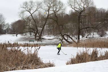 Vilnius, Litvanya - 10 Şubat 2024: Parlak sarı ceketli bir kişi, Kudru Park, Vilnius 'taki donmuş bir gölette buz hokeyi oynar, etrafı kar, kuru sazlıklar ve yapraksız ağaçlarla çevrilidir.. 