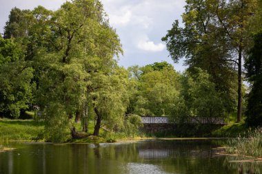 Litvanya 'nın Vilnius kentinin tarihi Zverynas bölgesinde sakin bir göleti çevreleyen yemyeşil bir manzara.. 