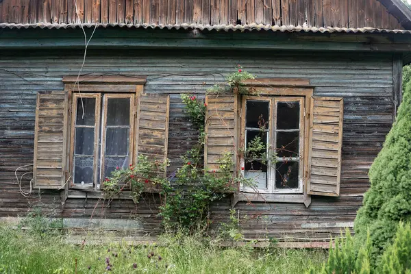 Markuciai, Vilnius, Litvanya 'da Panjurlu Pencere ve Yabani Güllerle Büyümüş Ahşap Ev Cephesi