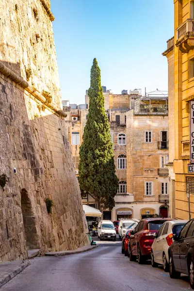 Valletta, Malta - 9 Ekim 2023 Başkent Valletta 'da sakin bir cadde park halindeki arabalarla dolu, geleneksel Malta kireçtaşı binaları ve uzun bir selvi ağacı sergileniyor..