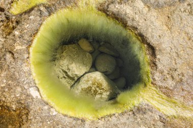 Doğal Kıyı veya Nehir Yatağı Alanında Yosun İçi Taşlarla Dolu Kaya Havuzu ve Yeşil Sümük