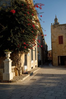 Mdina, Malta - 8 Ekim 2023: Güneş ışığı, Mdina 'da canlı kırmızı bougainvillea ve geleneksel taş mimarisi ile süslenmiş sakin ve tarihi bir ara sokağı aydınlatıyor..