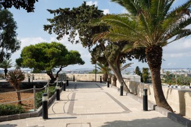 Palmiye ağaçları ve Akdeniz yapraklarının yer aldığı pitoresk bir gezinti alanı, Malta 'nın Floriana kentinde açık bir gökyüzü altında şehrin panoramik manzarasını sunuyor.