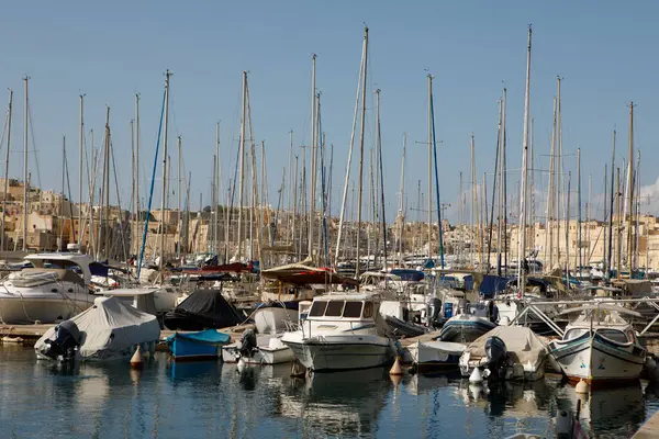 Senglea, Malta - 13 Ekim 2023: Çok sayıda yelkenli ve yat, uzak kıyı şeridini kaplayan konut binaları ve otellerle dolu yoğun bir marinayı dolduruyor.
