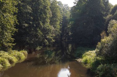 Sakin, karanlık bir nehir, sakin yüzeyinde yeşil ağaçların yansımaları olan yoğun, güneşli bir ormanın içinden esiyor. Traku Voke, Litvanya