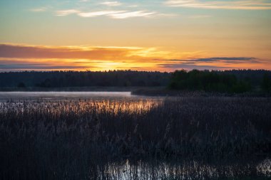 Altından bir gündoğumu sisli bir gölün üzerine gökyüzünü boyar, ön planda koyu sazlıklar ve uzak bir orman silueti, Litvanya