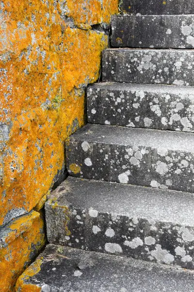 Mossy Stone Steps Old Bunker — Stock Photo, Image