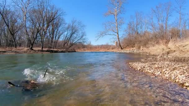 Kuzey Illinois Güneşli Bir Günde Kishwaukee Nehri Ayaklığı — Stok video