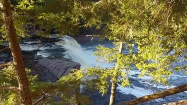 Presque Adası nehri, Michigan 'daki Kirpi Dağları' nın ormanları boyunca akar.