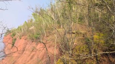 Kuzeydeki ormanlar Michigan 'daki Superior Gölü' nün soğuk sularıyla buluşur.