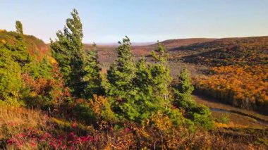Kuzey Michigan 'daki Escarpment Trail' den Kirpi Dağları Eyalet Parkı 'nın güzel sonbahar manzarası