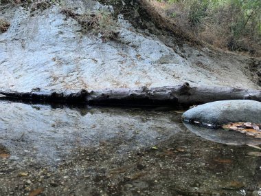 A serene scene captures a mountain creek, where flat, gray water flows gently in the foreground. To the right of the frame, a large round rock rests at the waters edge, with a collection of fallen leaves gathered near its surface. clipart