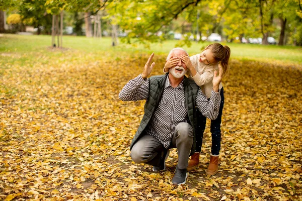 Handsome Grandfather Spending Time His Granddaughter Park Autumn Day — Stock Photo, Image
