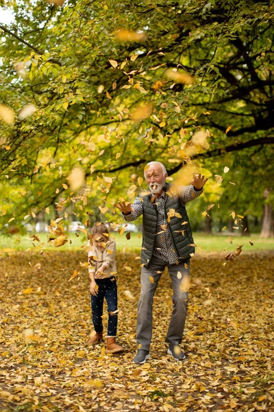 Yakışıklı Büyükbaba Sonbahar Günü Torunuyla Parkta Vakit Geçiriyor — Stok fotoğraf
