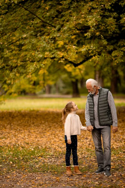 Beau Grand Père Passer Temps Avec Petite Fille Dans Parc — Photo