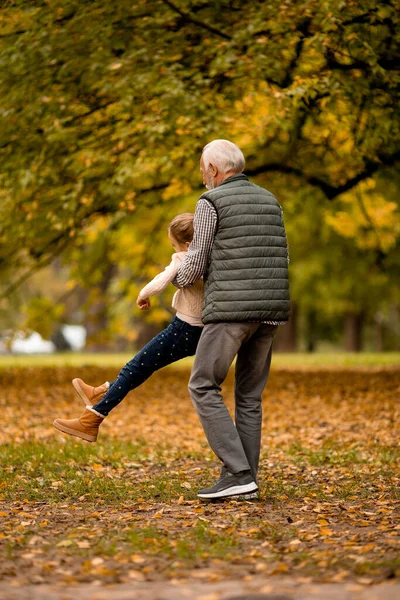 Beau Grand Père Passer Temps Avec Petite Fille Dans Parc — Photo