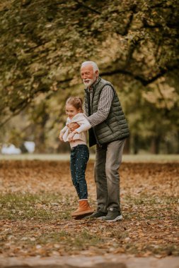 Yakışıklı büyükbaba sonbahar günü torunuyla parkta vakit geçiriyor.