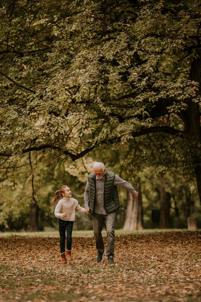 秋の日に孫娘と公園で過ごすハンサムな祖父 — ストック写真