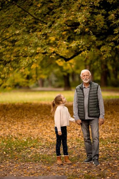 Schöner Opa Verbringt Herbsttag Zeit Mit Seiner Enkelin Park — Stockfoto