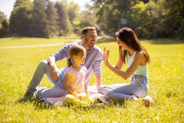 Küçük tatlı kızıyla mutlu bir aile güneşli bir günde parkta eğleniyor.