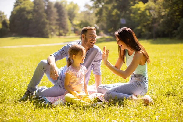 Küçük tatlı kızıyla mutlu bir aile güneşli bir günde parkta eğleniyor.