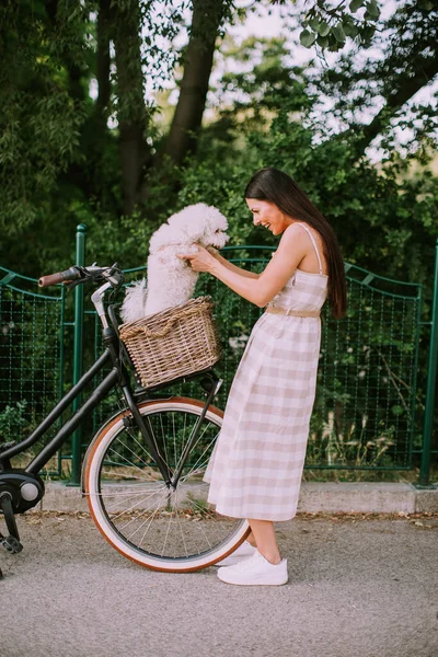 Ładna Młoda Kobieta Wkłada Białego Bichona Frise Doga Koszyka Rowerem — Zdjęcie stockowe