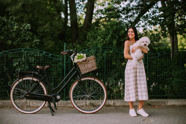 Mulher Bonita Colocando Bichon Branco Frise Cão Cesta Bicicleta Elétrica — Fotografia de Stock