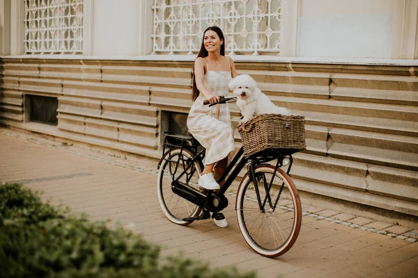 Ładna Młoda Kobieta Białym Bichon Frise Dog Koszu Rower Elektryczny — Zdjęcie stockowe