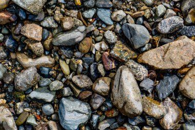 Kıyıdaki çakıl taşlarının yakın görüntüsü