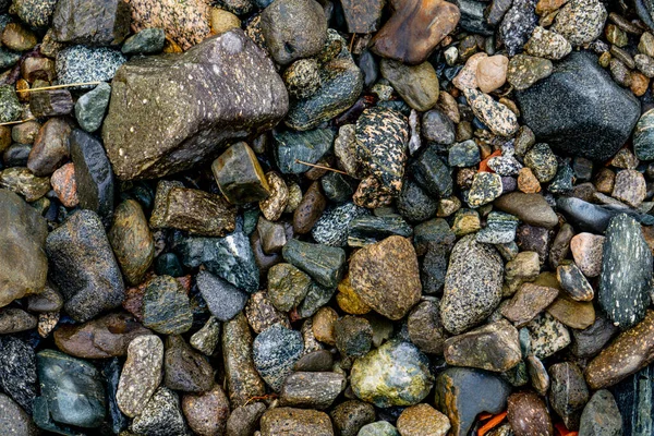 Closeup View Pebbles Shore — Stock Photo, Image