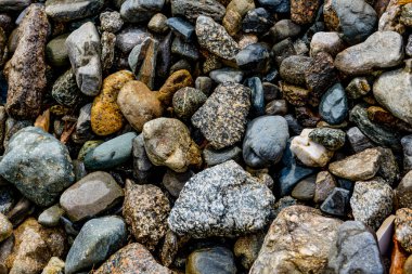 Kıyıdaki çakıl taşlarının yakın görüntüsü