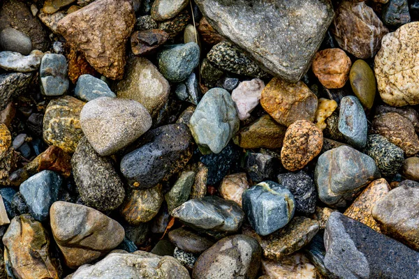Kıyıdaki Çakıl Taşlarının Yakın Görüntüsü — Stok fotoğraf
