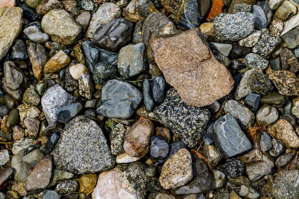 Kıyıdaki Çakıl Taşlarının Yakın Görüntüsü — Stok fotoğraf