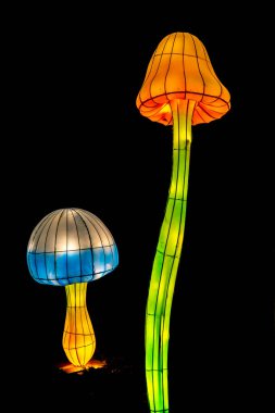 Novi Sad, Sırbistan - 6 Şubat 2022: Sırbistan 'ın Novi Sad kentinde düzenlenen Çin Fener Festivali detayları. Çin Yeni Yılı anısına düzenlenen festival, sanat feneri şirketi Zigong tarafından başlatıldı.