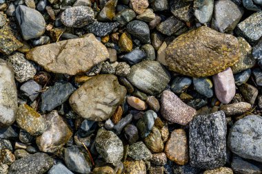 Kıyıdaki çakıl taşlarının yakın görüntüsü