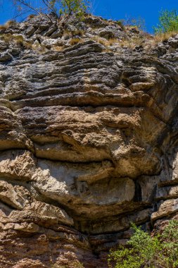 Doğu Sırbistan 'daki Boljetin nehir boğazındaki jeolojik oluşumlara bak