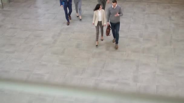 若者や上級ビジネスの人々のグループは 空中視界で撮影されたオフィス廊下を歩いています — ストック動画