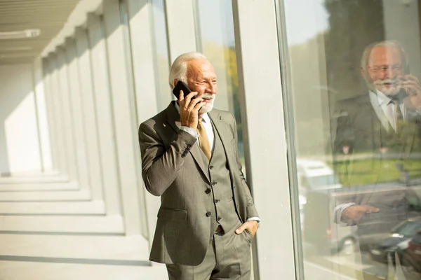 Senior Business Man Stands Office Hallway Focused His Mobile Phone Royalty Free Stock Images