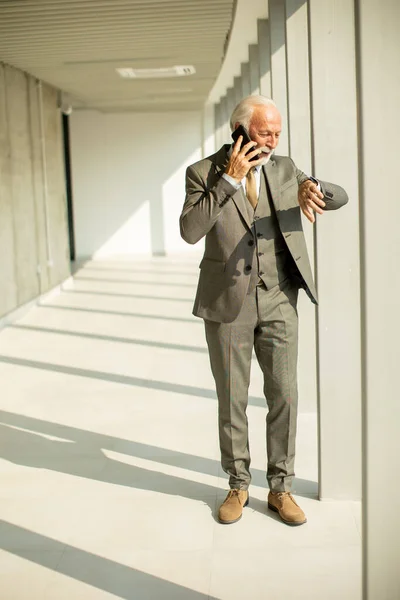 Senior Business Man Stands Office Hallway Focused His Mobile Phone Stockfoto