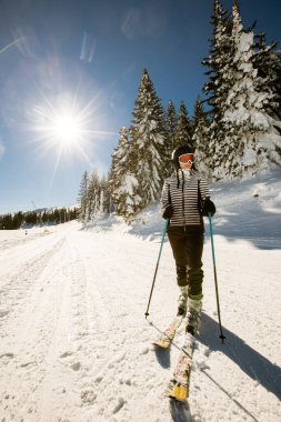 Young woman enjoying winter day of skiing on the snow covered slopes, surrounded by tall trees and dressed for cold temperatures clipart